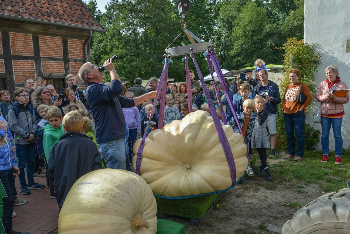 Ein riesiger Kürbis wird gewogen.