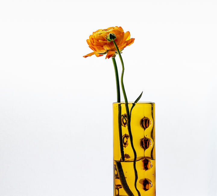 Eine auffällige Vase mit einer Ranunkel.