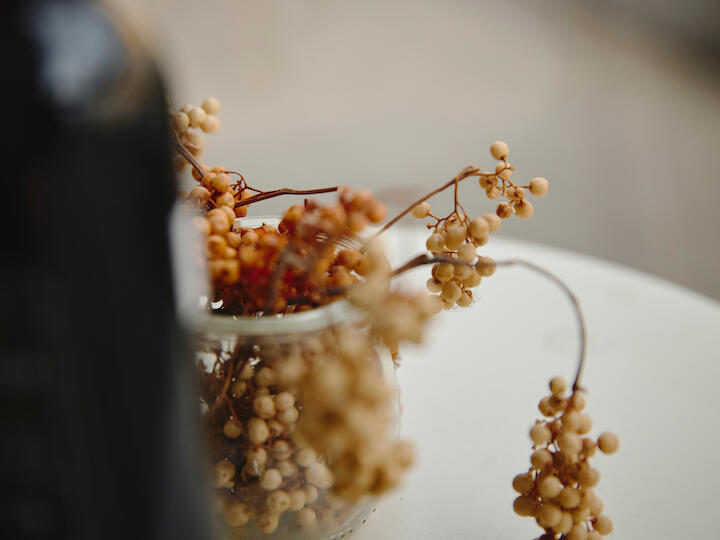 Ein getrockneter Strauch mit Pfefferbeeren