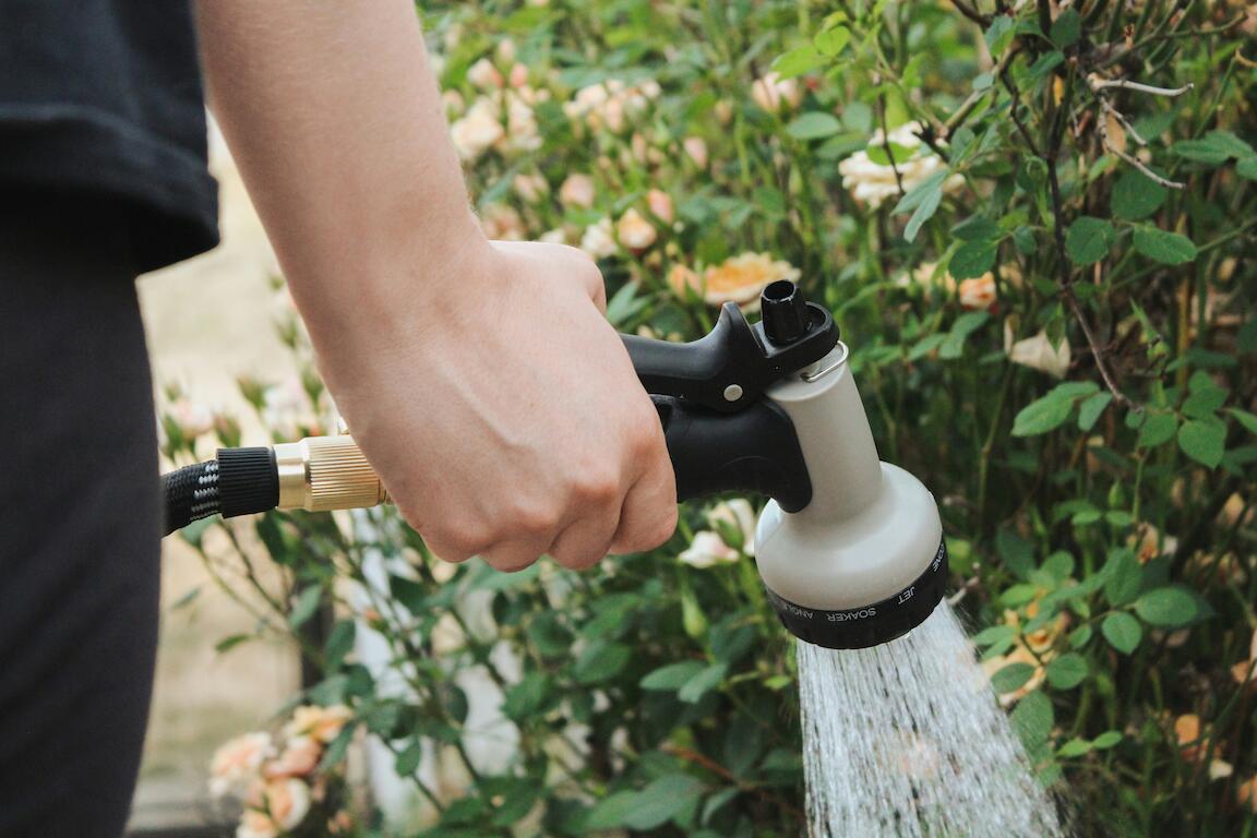 Pflanzen werden mit einem Gartenschlauch gegossen