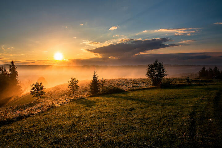 Sonnenaufgang mit Morgennebel.