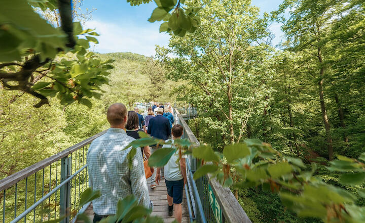 Menschen laufen auf dem Baumwipfelpfad