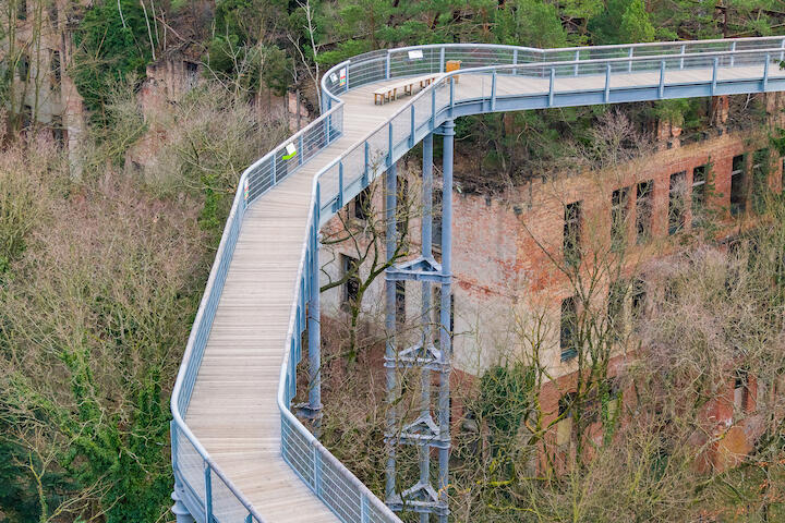 Baumwipfelpfad über einer Ruine