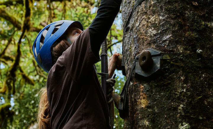 Frau mit Kletterausrüstung an einem Baumstamm